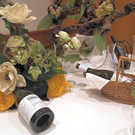 Hotel Segle Xx Tremp